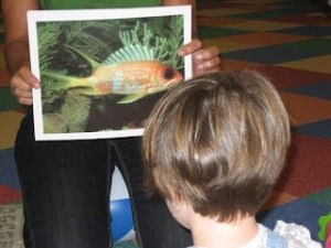 Bits de inteligencia en la Estimulación Temprana