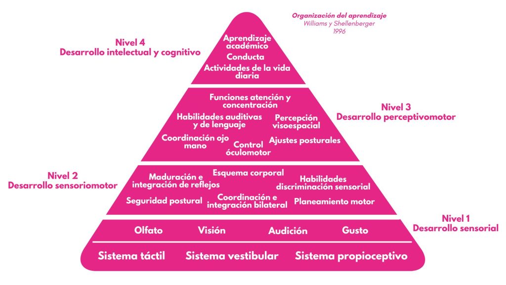Pirámide del aprendizaje y el desarrollo infantil